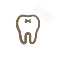 一般歯